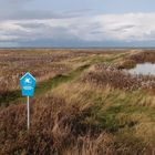 Nationalpark Niedersächsisches Wattenmeer