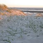 Nationalpark Niedersächsisches Wattenmeer (Horum)