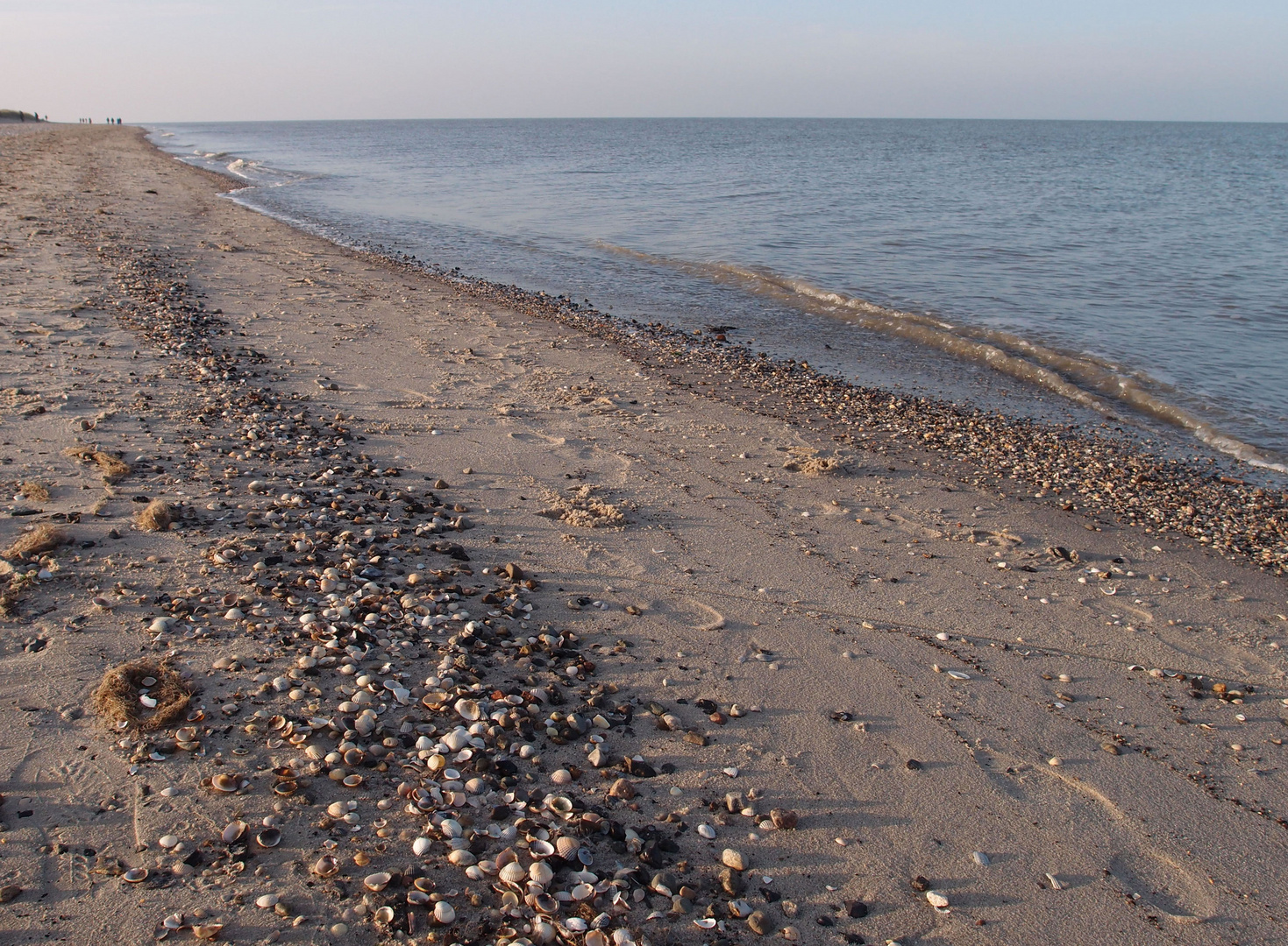 Nationalpark Niedersächsisches Wattenmeer I