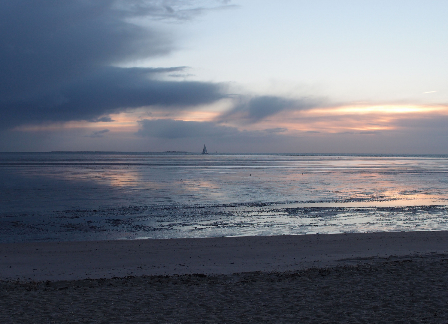 Nationalpark Niedersächsisches Wattenmeer III