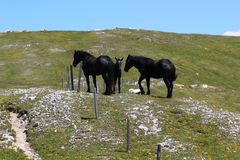 Nationalpark Nockberge