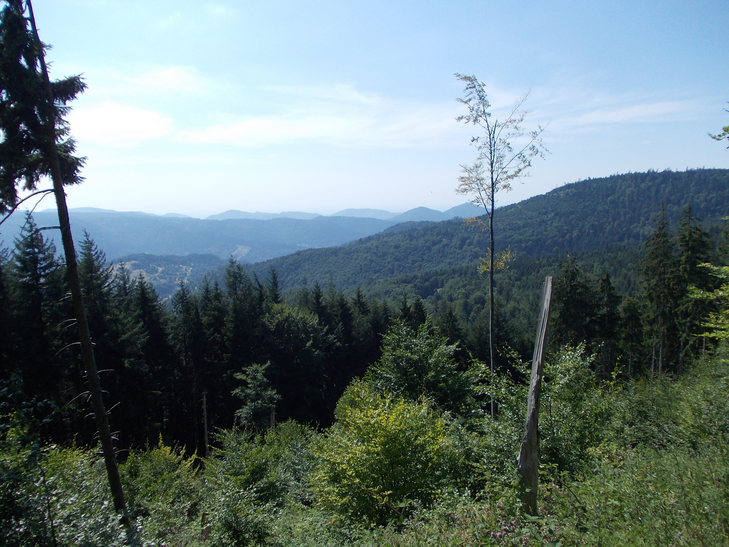 Nationalpark Nordschwarzwald