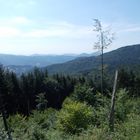 Nationalpark Nordschwarzwald