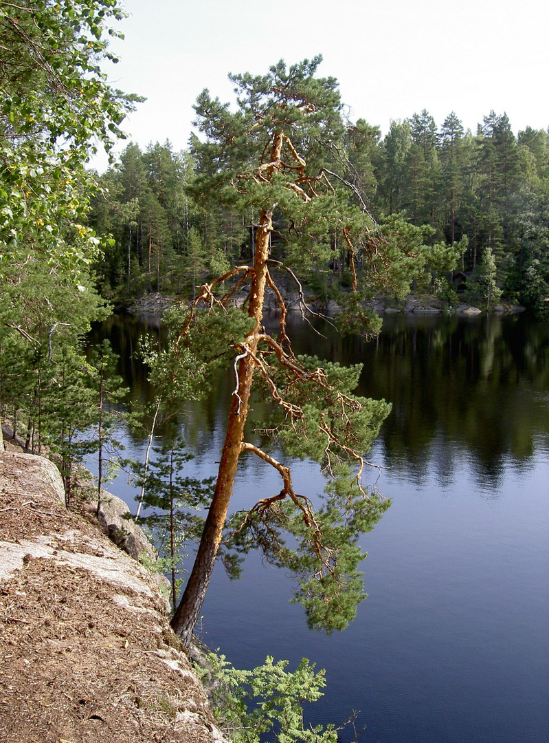 Nationalpark, Nuuksio