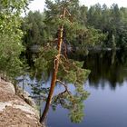 Nationalpark, Nuuksio