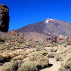 Nationalpark "Parque Nacional de las Cañadas del Teide"