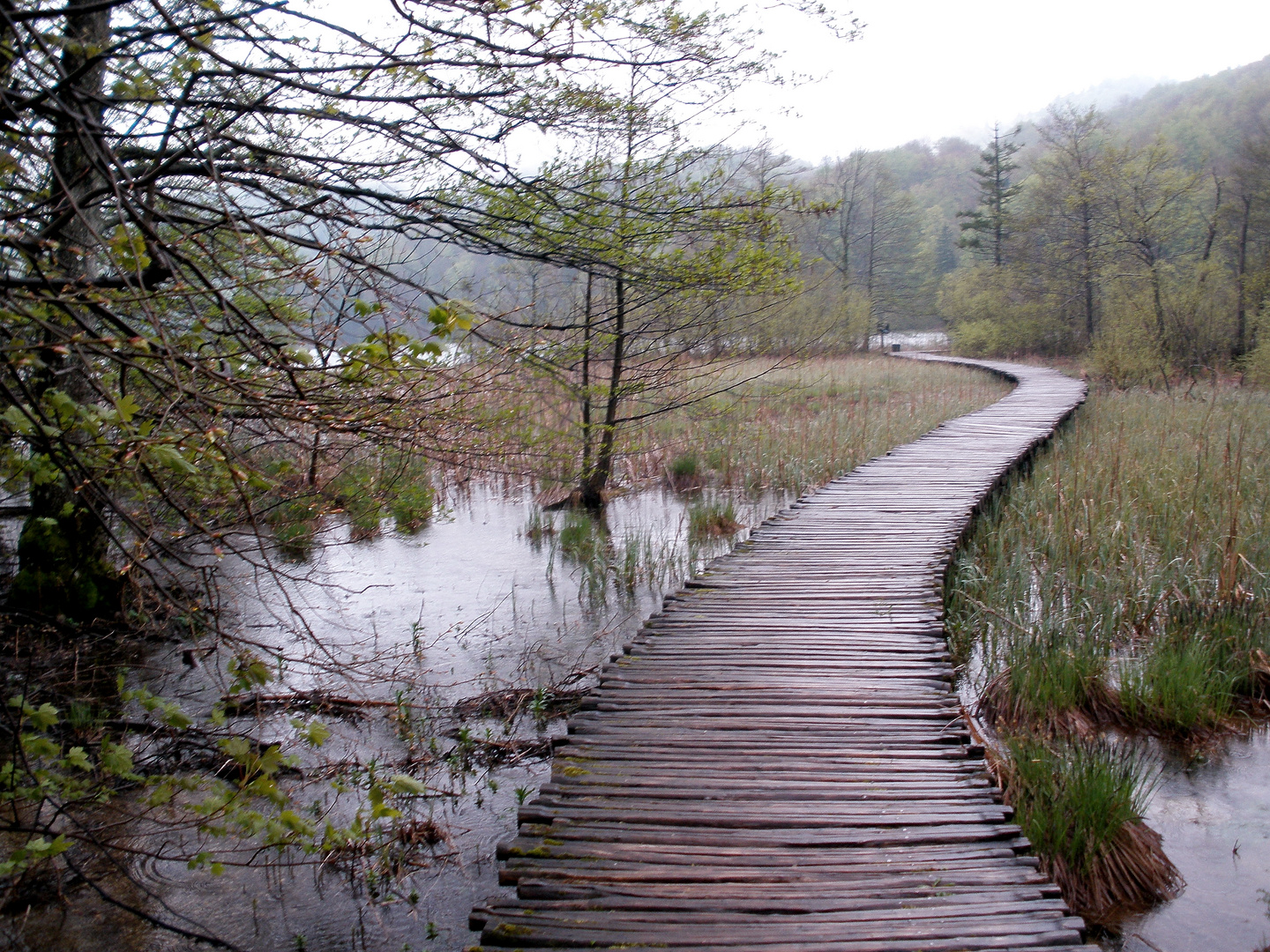 Nationalpark Plitvicer Seen 