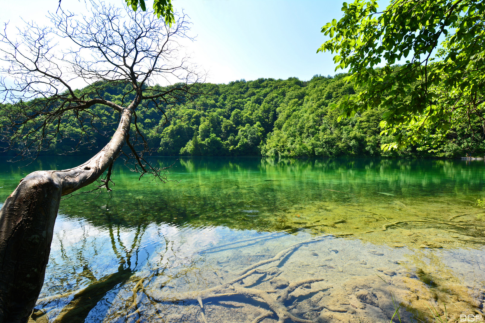 Nationalpark - Plitvicer Seen