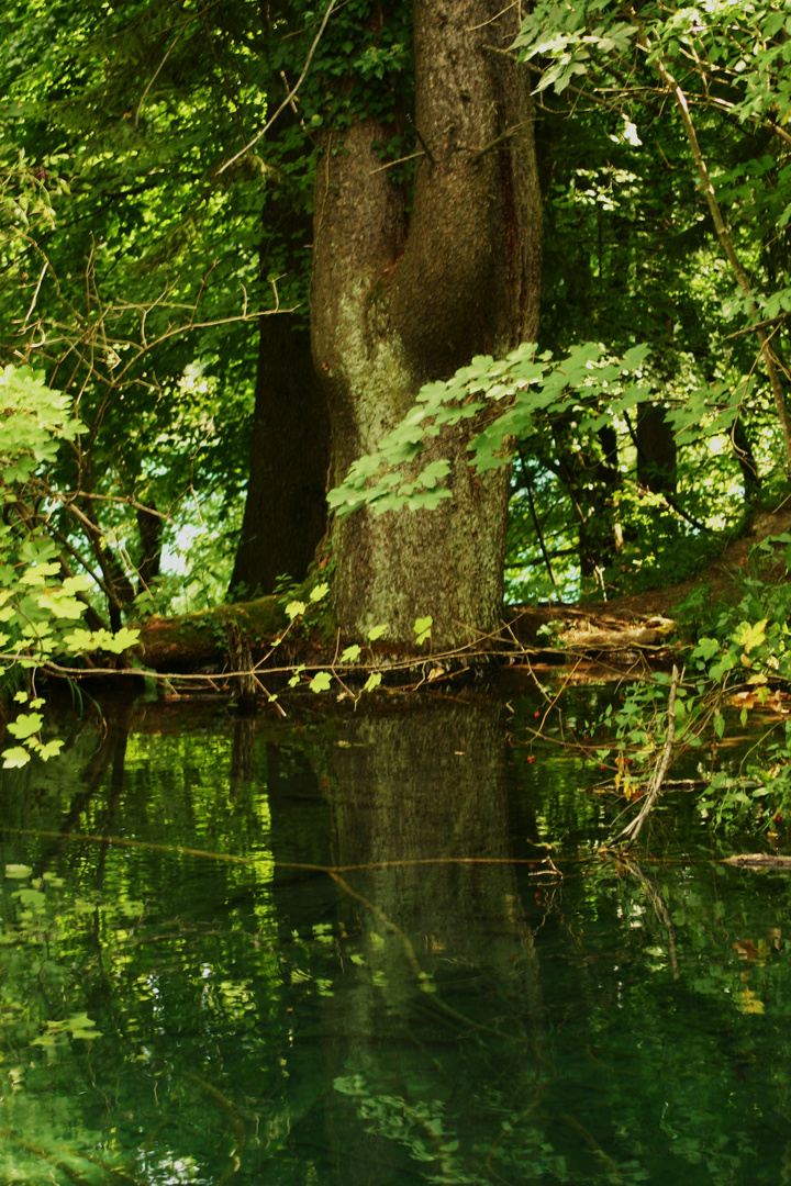 Nationalpark Plitvicer Seen, Kroatien