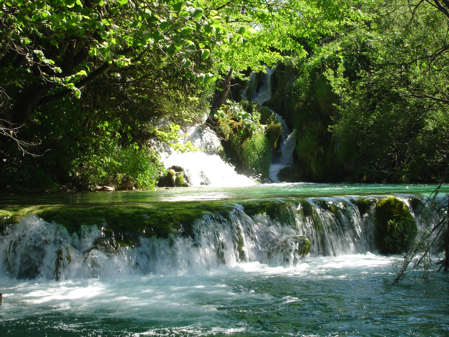 Nationalpark Plitvicer Seen Kroatien