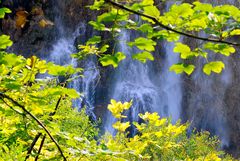Nationalpark Plitvicer Seen VI