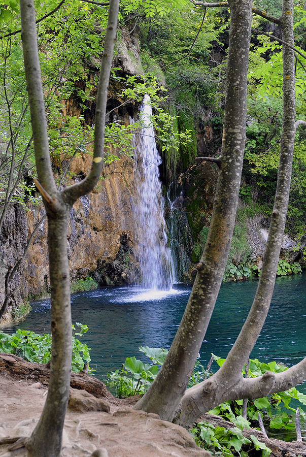 Nationalpark Plitvicer Seen VIII