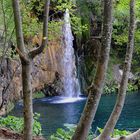 Nationalpark Plitvicer Seen VIII