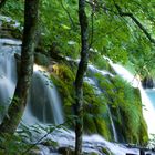 Nationalpark Plitvizer Seen - Land der fallenden Seen 1