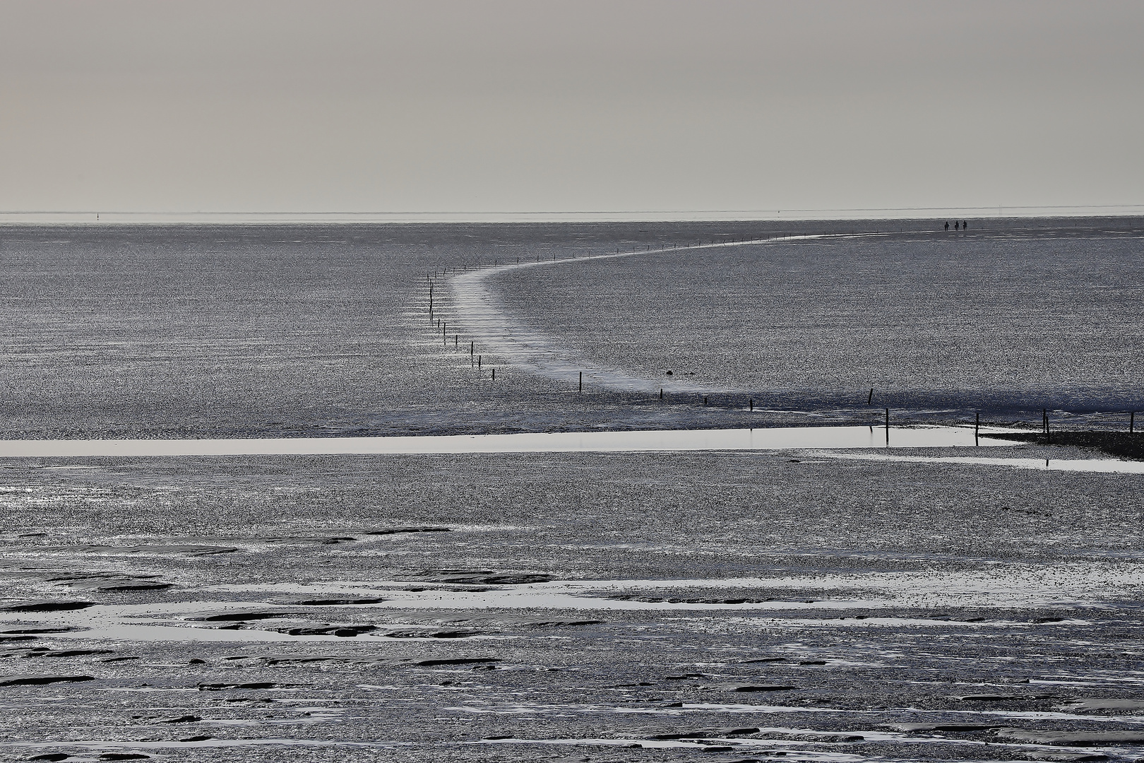 Nationalpark Schleswig- Holsteinisches Wattenmeeer/ 2