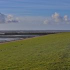 Nationalpark Schleswig- Holsteinisches Wattenmeer/ 1 