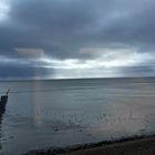 Nationalpark Schleswig-Holsteinisches Wattenmeer von Handy, auf Hindenburgdamm, in Zug.