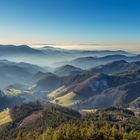 Nationalpark Schwarzwald....