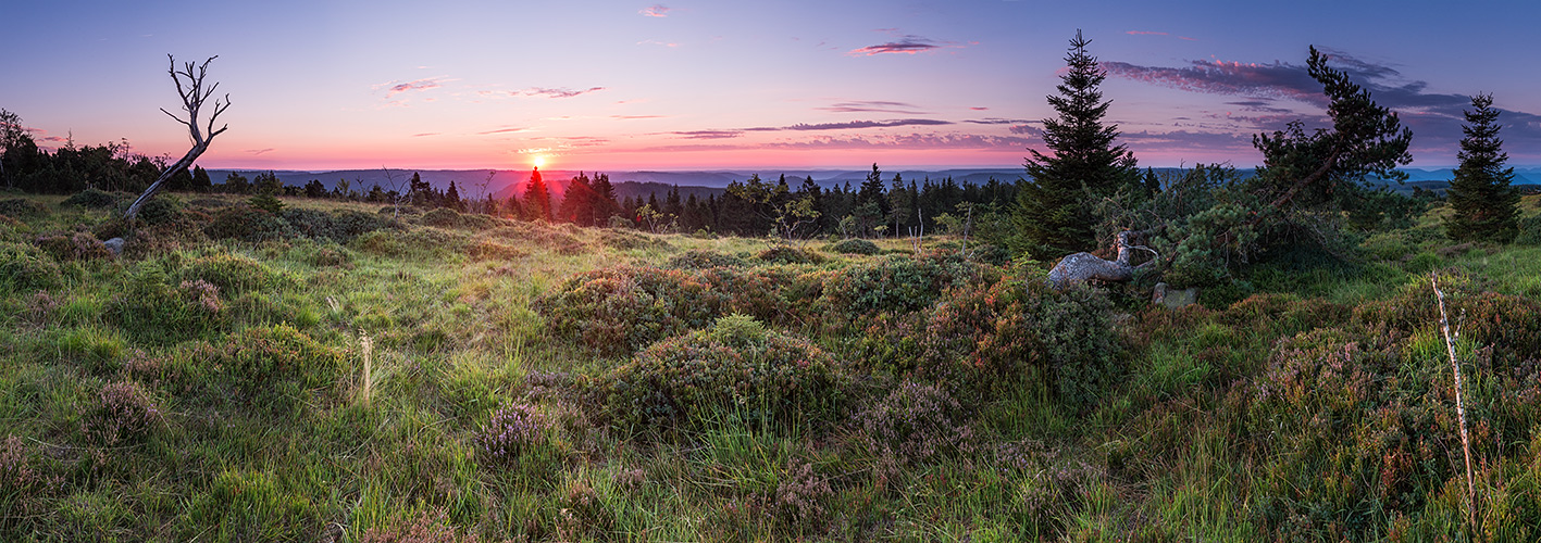 Nationalpark Schwarzwald