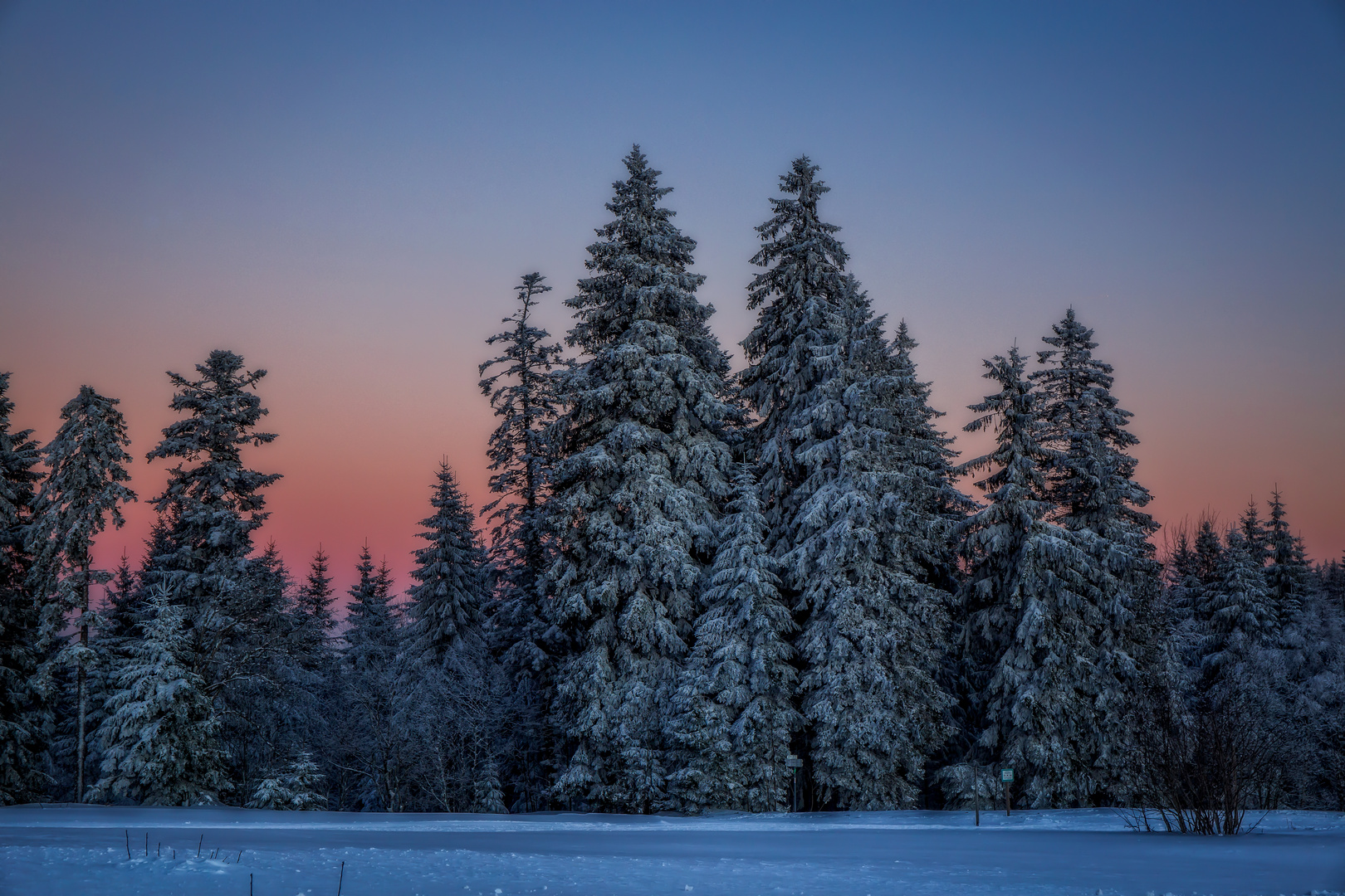 Nationalpark Schwarzwald im Winter