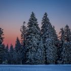 Nationalpark Schwarzwald im Winter