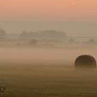 Nationalpark Seewinkel Morgennebel