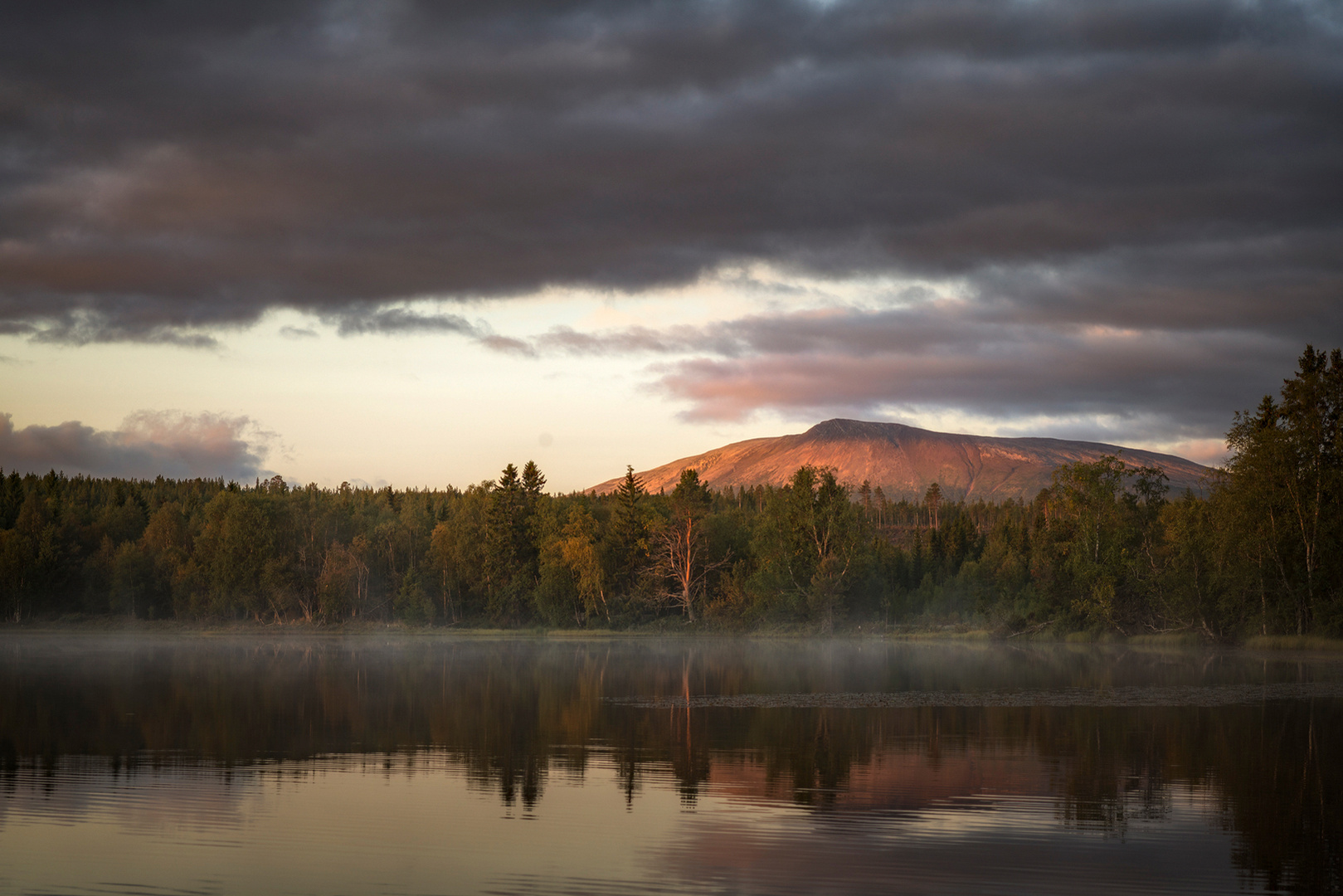 Nationalpark Sonfjället am Morgen