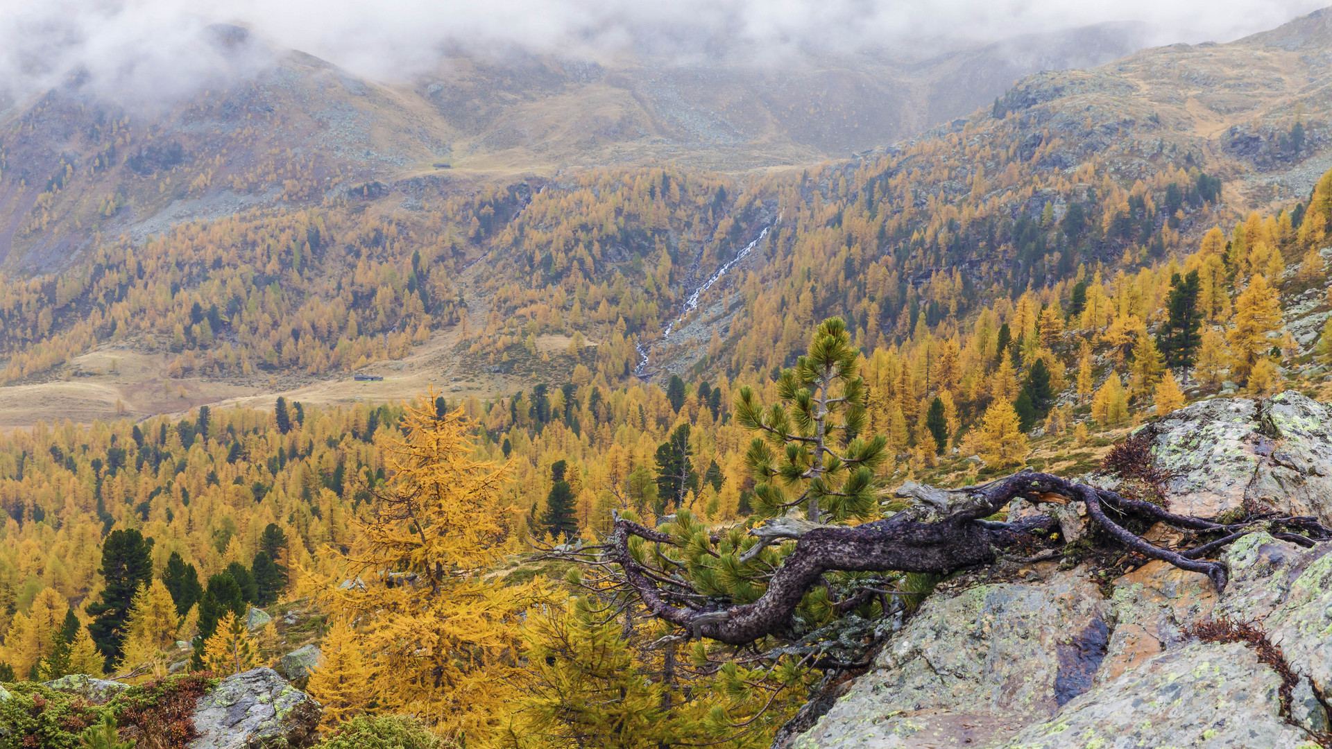 Nationalpark Stilfserjoch