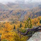 Nationalpark Stilfserjoch