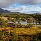 Nationalpark Stora Sjöfallet