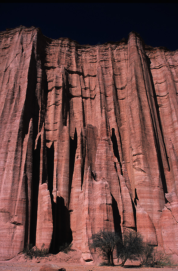 Nationalpark Talampaya