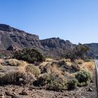 Nationalpark Teide