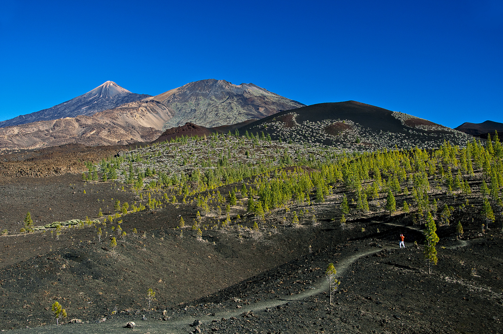 Nationalpark Teide