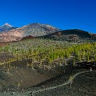 Nationalpark Teide