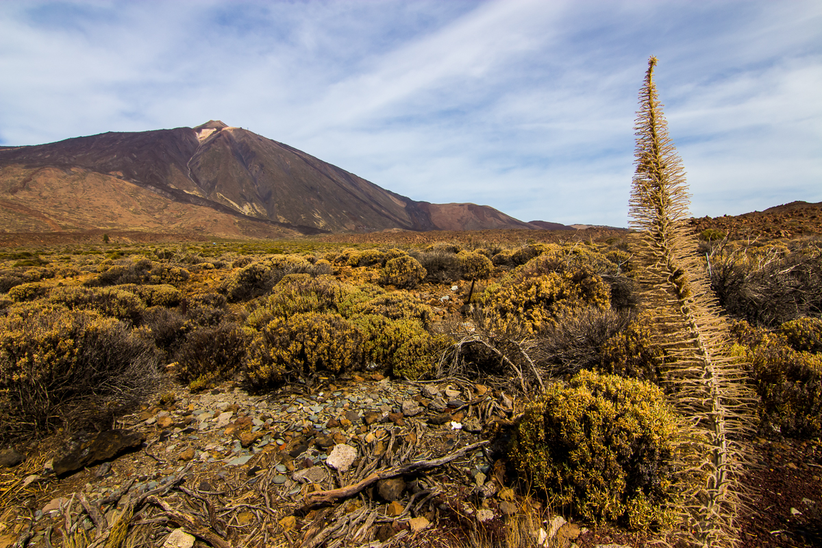 Nationalpark Teide