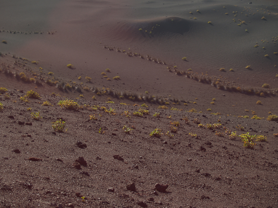 Nationalpark Timanfaya