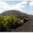 Nationalpark Timanfaya