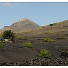 Nationalpark Timanfaya