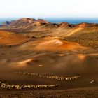 Nationalpark Timanfaya, Lanzarote