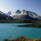 Nationalpark Torres del Paine 1991