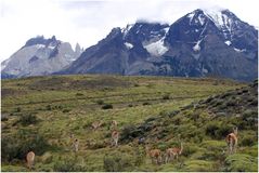 Nationalpark Torres del Paine