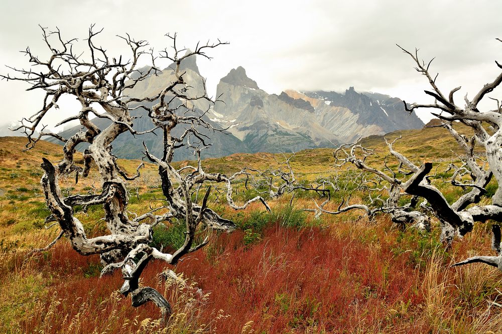 Nationalpark Torres Le Paine