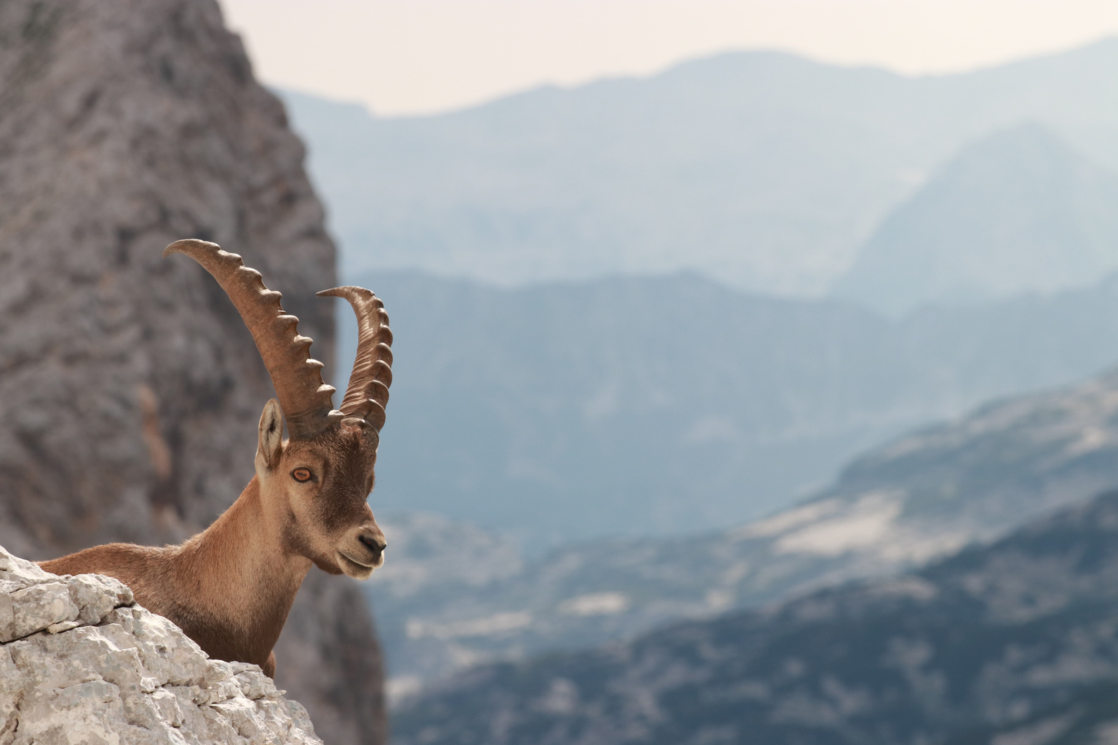 Nationalpark Triglav, Slowenien