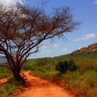 Nationalpark Tsavo-West in Kenia