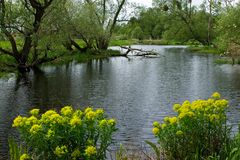 Nationalpark Unteres Odertal , bei Gatow 02