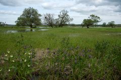 Nationalpark Unteres Odertal , bei Gatow 03