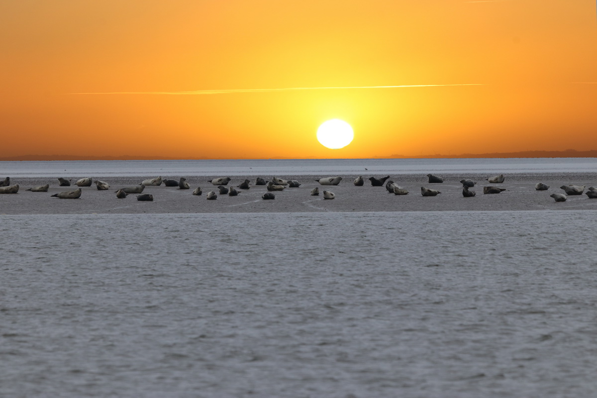 Nationalpark Vadehavet