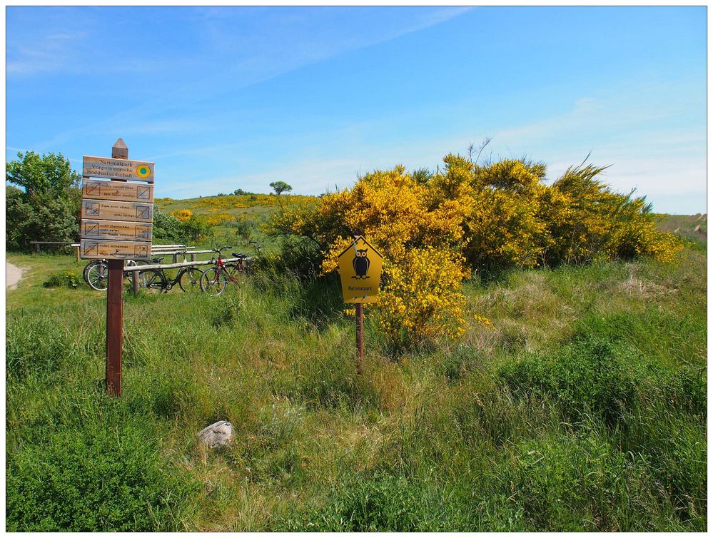 Nationalpark Vorpommersche Boddenlandschaft - Hiddensee