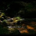 Nationalpark - Wanderung über die Martinsklause zum Lusen