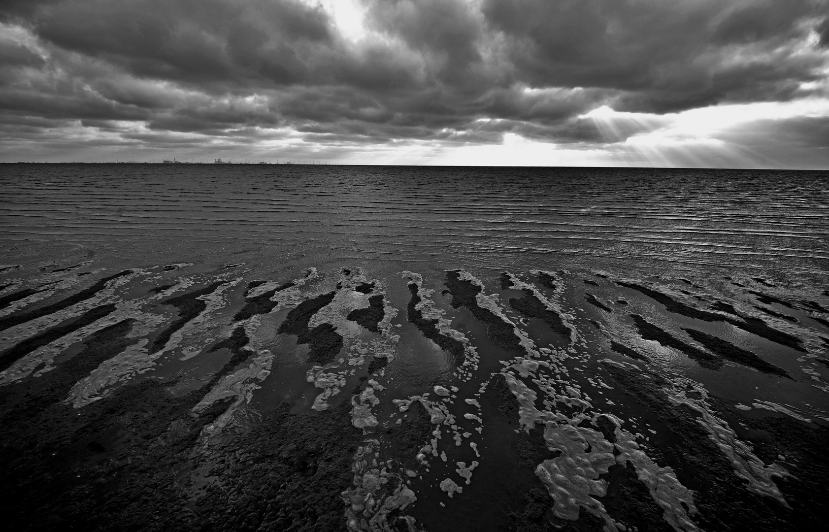 Nationalpark Wattenmeer